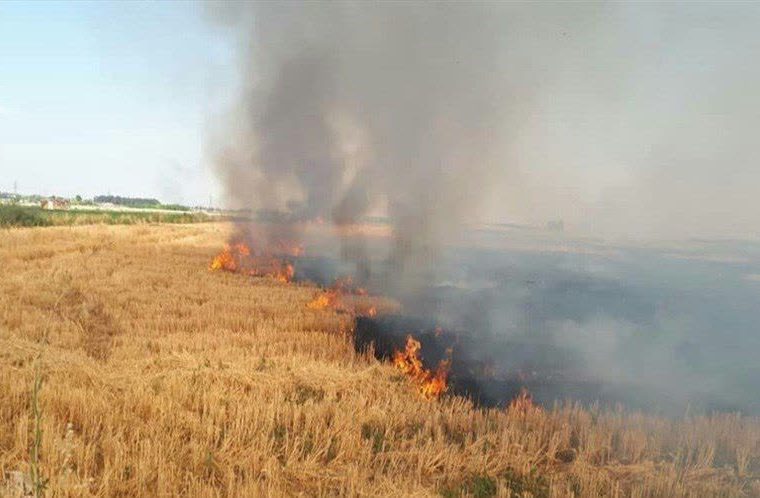 مهار آتش سوزی مزارع کشاورزی روستای «بهرامی» خرم آباد