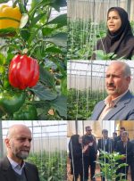 بانوانی که خاک را طلا می کنند بانوانی که خاک را طلا می کنند