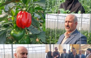 بانوانی که خاک را طلا می کنند بانوانی که خاک را طلا می کنند