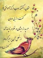 سعدی شیخی جهانی