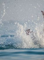 ۲کودک در دریاچه پارک جنگلی نورآباد لرستان جان باختند