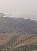 ۱۰۰ هکتار جنگلهای بلوط سلسله در آتش نزاع ۲ دامدار سوخت ۱۰۰ هکتار جنگلهای بلوط سلسله در آتش نزاع ۲ دامدار سوخت