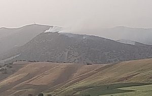 ۱۰۰ هکتار جنگلهای بلوط سلسله در آتش نزاع ۲ دامدار سوخت ۱۰۰ هکتار جنگلهای بلوط سلسله در آتش نزاع ۲ دامدار سوخت