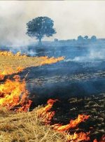 اطلاعیه سازمان جهاد کشاورزی لرستان در مورد آتش زدن بقایای مزارع اطلاعیه سازمان جهاد کشاورزی لرستان در مورد آتش زدن بقایای مزارع