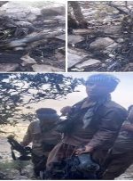 لرستان شکارگاه پهپادهای صهیونیستی