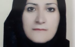 هویت ملی ایرانی سدی مقاوم درمقابل تهاجم خارجی هویت ملی ایرانی سدی مقاوم درمقابل تهاجم خارجی