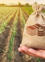 خسارت کشاورزان لرستانی از اواسط پائیز پرداخت می‌شود