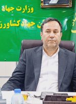 امنیت غذایی نیازمند کار تیمی است