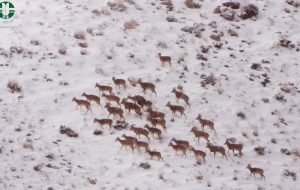 اطلاعیه اطلاعیه