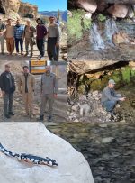 راهاندازی پاسگاه محیطبانی در زیستگاه «سمندر لرستانی» راهاندازی پاسگاه محیطبانی در زیستگاه «سمندر لرستانی»