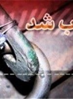مهر و موم یک واحد باغ‌رستوران در شهرستان خرم‌آباد