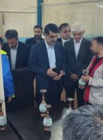 بازدید معاون عمرانی استاندار لرستان از اردوگاه حرفه‌آموزی و کاردرمانی خرم‌آباد