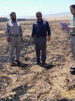 معرفی ۵۱ نفر از عاملان سوزاندن بقایای کشاورزی در شهرستانهای کوهدشت و پلدختربه مراجع قضایی