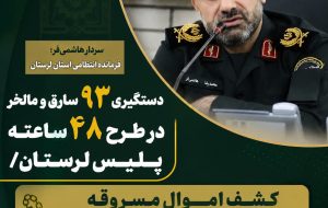 دستگیری ۹۳ سارق و مالخر در طرح ۴۸ ساعته پلیس دستگیری ۹۳ سارق و مالخر در طرح ۴۸ ساعته پلیس