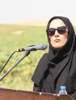 توسعه کشت آفتابگردان؛ گام لرستان برای تغییر الگوی کشت