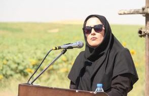 توسعه کشت آفتابگردان؛ گام لرستان برای تغییر الگوی کشت توسعه کشت آفتابگردان؛ گام لرستان برای تغییر الگوی کشت