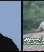 ثبت جلوهای ارزشمند از حیاتوحش در منطقه حفاظت شده اشترانکوه ثبت جلوهای ارزشمند از حیاتوحش در منطقه حفاظت شده اشترانکوه