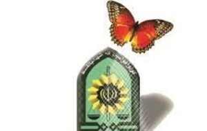 نجات جان یک شهروند لرستانی با مداخله به‌موقع مشاوران پلیس ۱۱۰