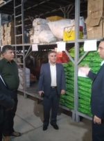 کالاهای فاسدشدنی در انبارهای اموال تملیکی لرستان؛ هشدار برای بیت‌المال
