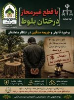 قاتل بلوطهای چگنی به پای میز عدالت رفت؛ جریمه میلیاردی و حبس برای تخریب طبیعت قاتل بلوطهای چگنی به پای میز عدالت رفت؛ جریمه میلیاردی و حبس برای تخریب طبیعت