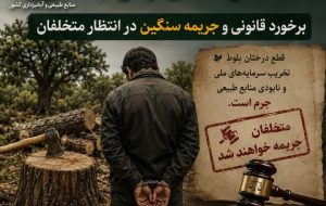 قاتل بلوطهای چگنی به پای میز عدالت رفت؛ جریمه میلیاردی و حبس برای تخریب طبیعت قاتل بلوطهای چگنی به پای میز عدالت رفت؛ جریمه میلیاردی و حبس برای تخریب طبیعت