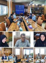 کمیته پیگیری مصوبات سفر ریاست جمهوری در بخش بهداشت و درمان تشکیل شد