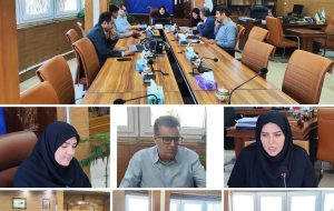 کمیته پیگیری مصوبات سفر ریاست جمهوری در بخش بهداشت و درمان تشکیل شد