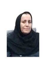 خبرنگار، روز را با واژه‌ها ثبت می‌کند