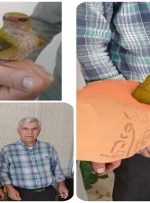 «پری شاهرخ» به آغوش طبیعت برمی‌گردد