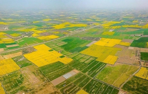۱۱۱۱ تغییر کاربری غیرمجاز در لرستان ۱۱۱۱ تغییر کاربری غیرمجاز در لرستان