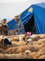 ۲۴۰ هزار روستایی و عشایر لرستان هنوز بیمه نیستند