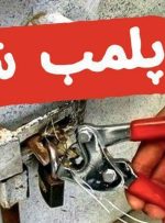 ۴ تالار به‌دلیل تیراندازی پلمب شد