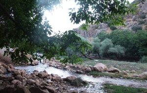 یک هکتار از اراضی ملی «کهمان» رفع تصرف شد