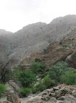  ۸۸ هزار هکتار منابع طبیعی بروجرد تنها ۲ نیروی  حفاظت دارد