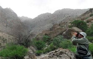  ۸۸ هزار هکتار منابع طبیعی بروجرد تنها ۲ نیروی  حفاظت دارد