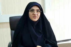 طرح‌های اقتصادی لرستان برای ۵۲۵ شغل هدف‌گذاری شدند
